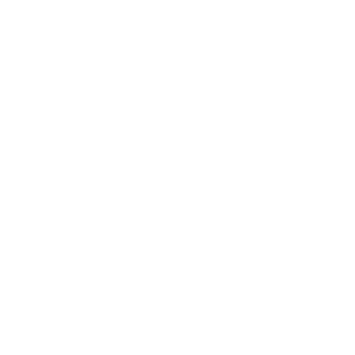 Big Maple Properties